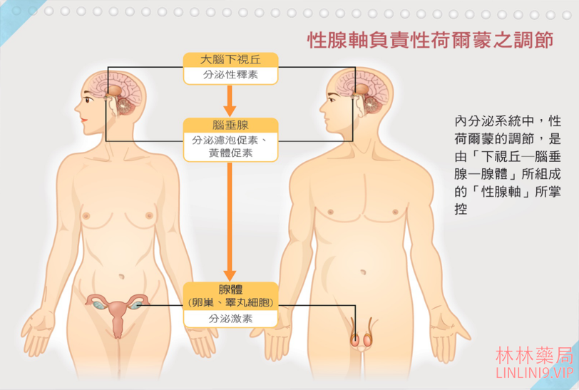 1716627160612266.png image.png