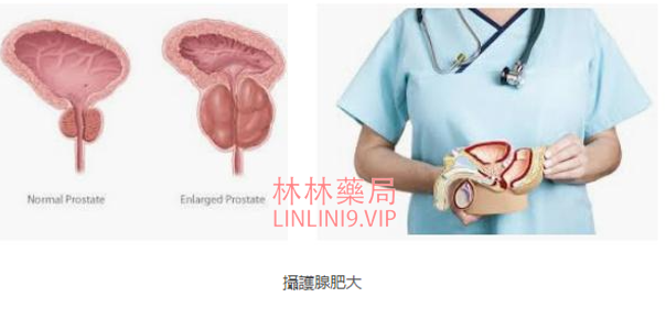 1721814652905522.jpg 1721814654229.jpg